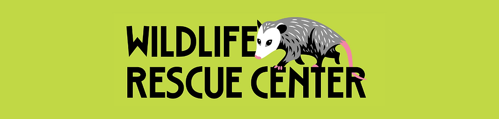 Wildlife Rescue | Missouri Wildlife Rescue Center | United States